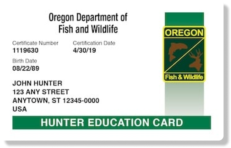 Illustration of the Oregon hunter education card, get an Oregon hunting license concept. 