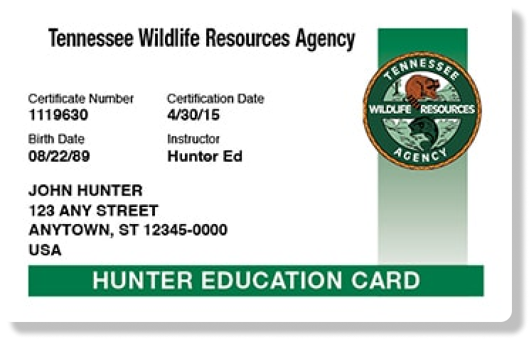 Tennessee hunter education card illustration, get your Tennessee hunting license concept. 