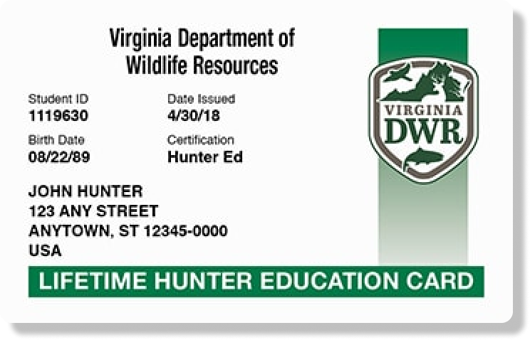 Illustration of the Virginia hunter education card, get VA hunting license concept. 