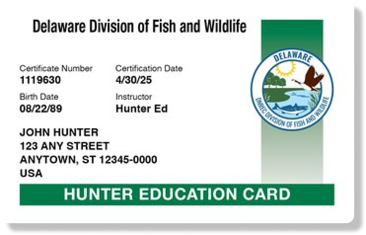 Illustration of the Delaware hunter education card, get a DE hunting license concept. 