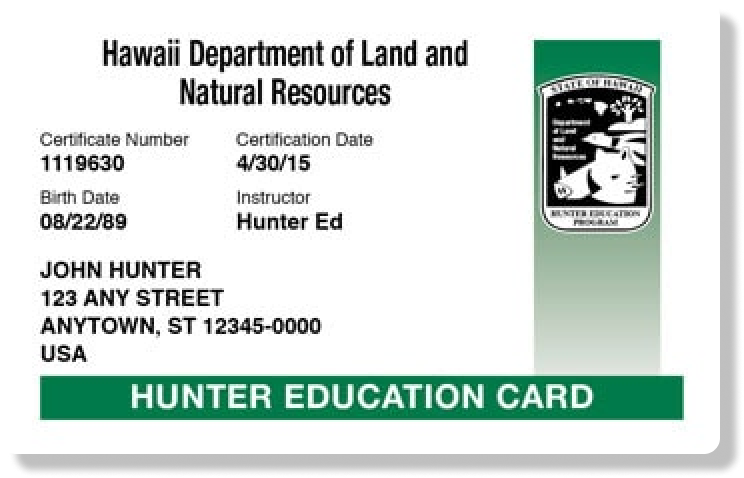 Illustration of the Hawaii hunter education card, get a Hawaii hunting license concept.