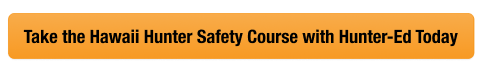 Button with text to take the Hawaii hunter safety course with Hunter-Ed, get a Hawaii hunting license concept.