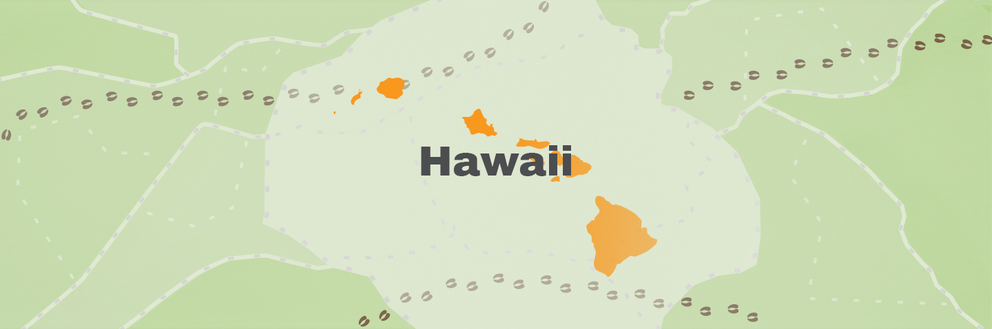 Illustration showing the state of Hawaii, how to get a Hawaii hunting license concept.