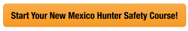 CTA button to start the NM hunter safety course, how to get a New Mexico hunting license concept.