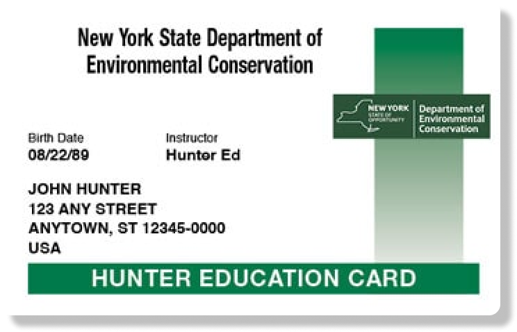 New York hunter education card illustration, get your New York hunting license concept. 
