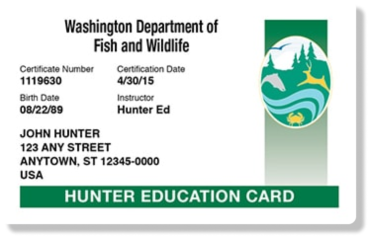Washington hunter education card illustration, get a hunting license in Washington concept. 