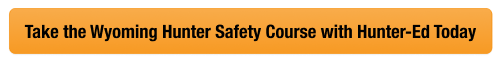 Button with text to take the WY hunter safety course with Hunter-Ed, get a Wyoming hunting license concept.