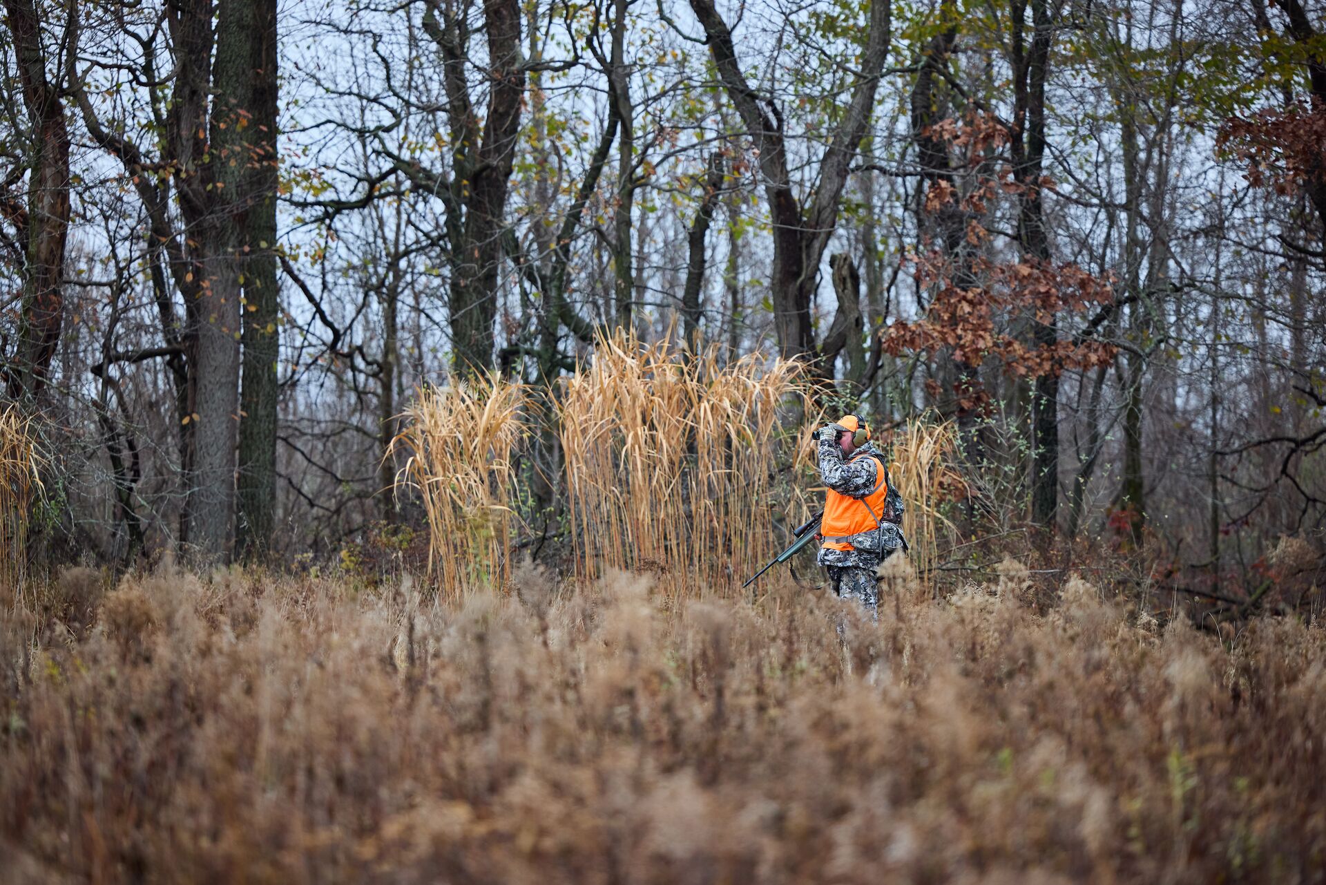 Hunter in field wears orange uses binoculars, take a hunter education course concept.