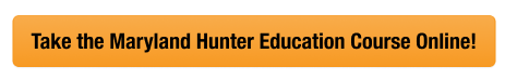 Button with text to take the Maryland hunter safety course online, how much does MD hunting license cost concept. 