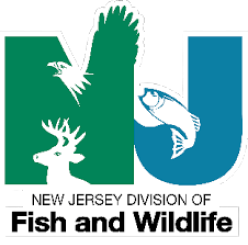 New Jersey Division of Fishe & Wildlife logo illustration, how much does a NJ hunting license cost concept. 