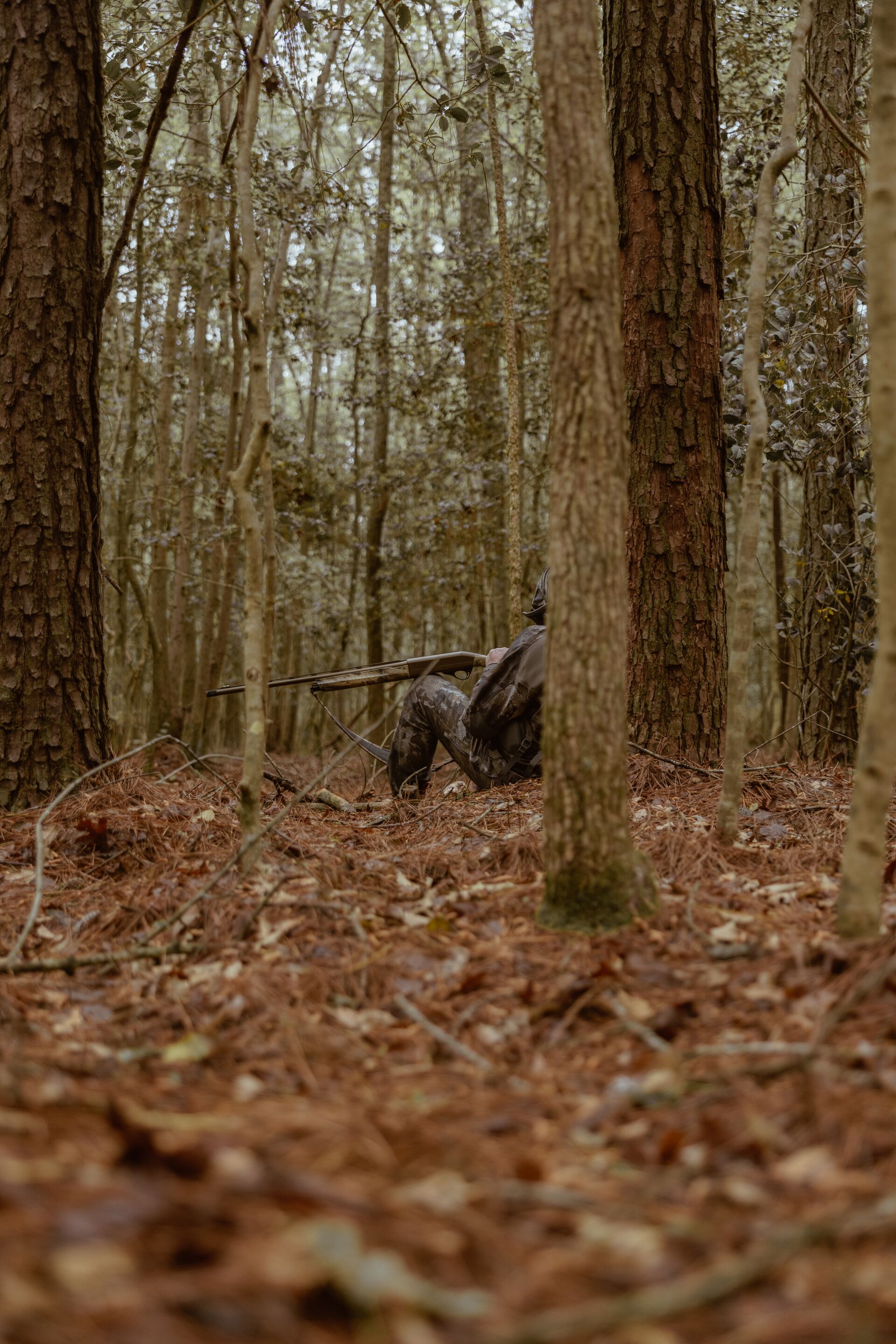 Hunter sits against tree with firearm in the woods, Arkansas hunting license concept. 