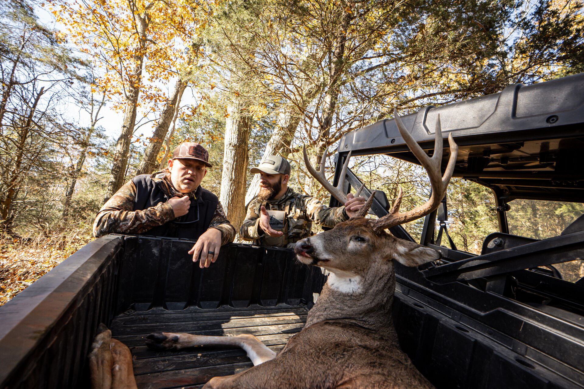 Two hunters with buck deer in ATV, get a Nevada hunting license concept.