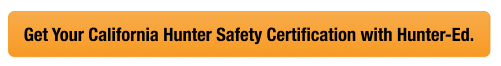 Button with text get your California hunter safety card, look up California hunter safety card concept.