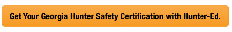 Button with text get your Georgia hunter safety card, look up Georgia hunter education card concept. 