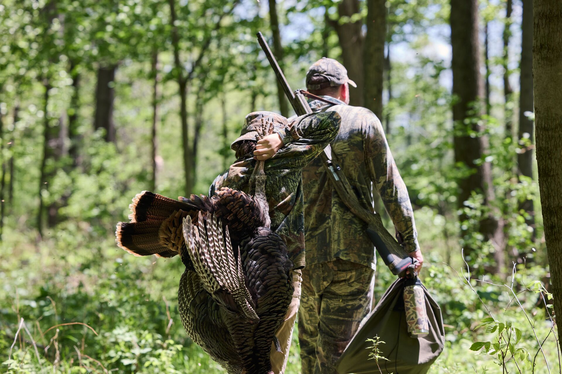 Boy carries turkey with adult in the woods, junior hunting license concept.