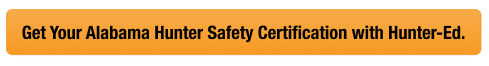 Button with text get your Alabama hunter safety card, look up Alabama hunter education card concept.