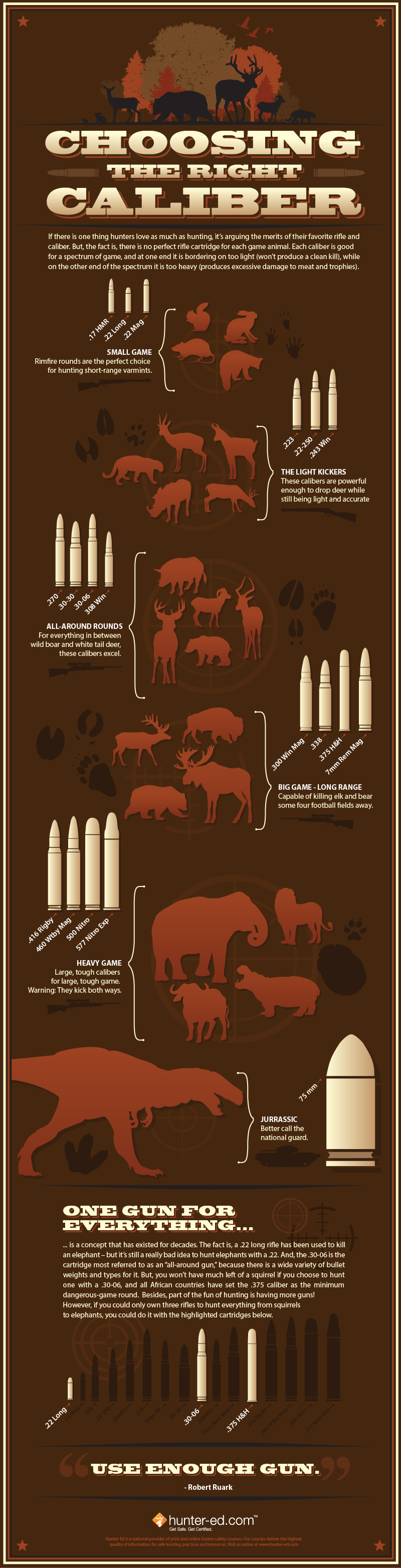 Infographic showing How to Choose the Right Hunting Caliber.
