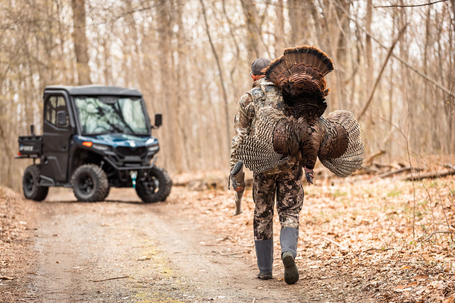 Hunter carries turkey to waiting ATV after hunt, hunt in Texas concept.
