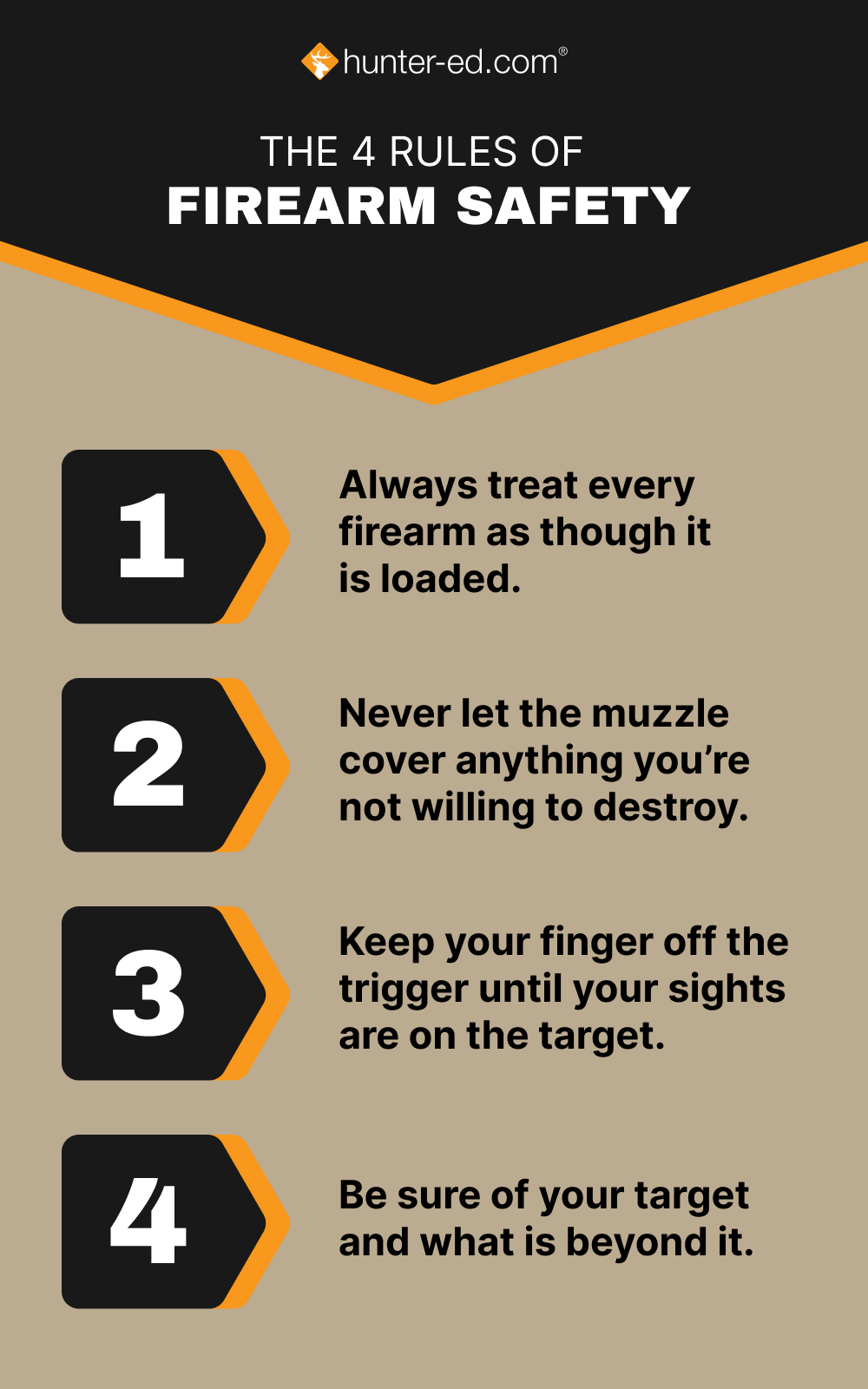 Graphic showing the four rules of firearm safety.