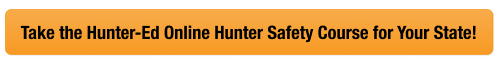 Yellow CTA button with text take Hunter-Ed online course for your state, how to prepare for hunter education field day concept.