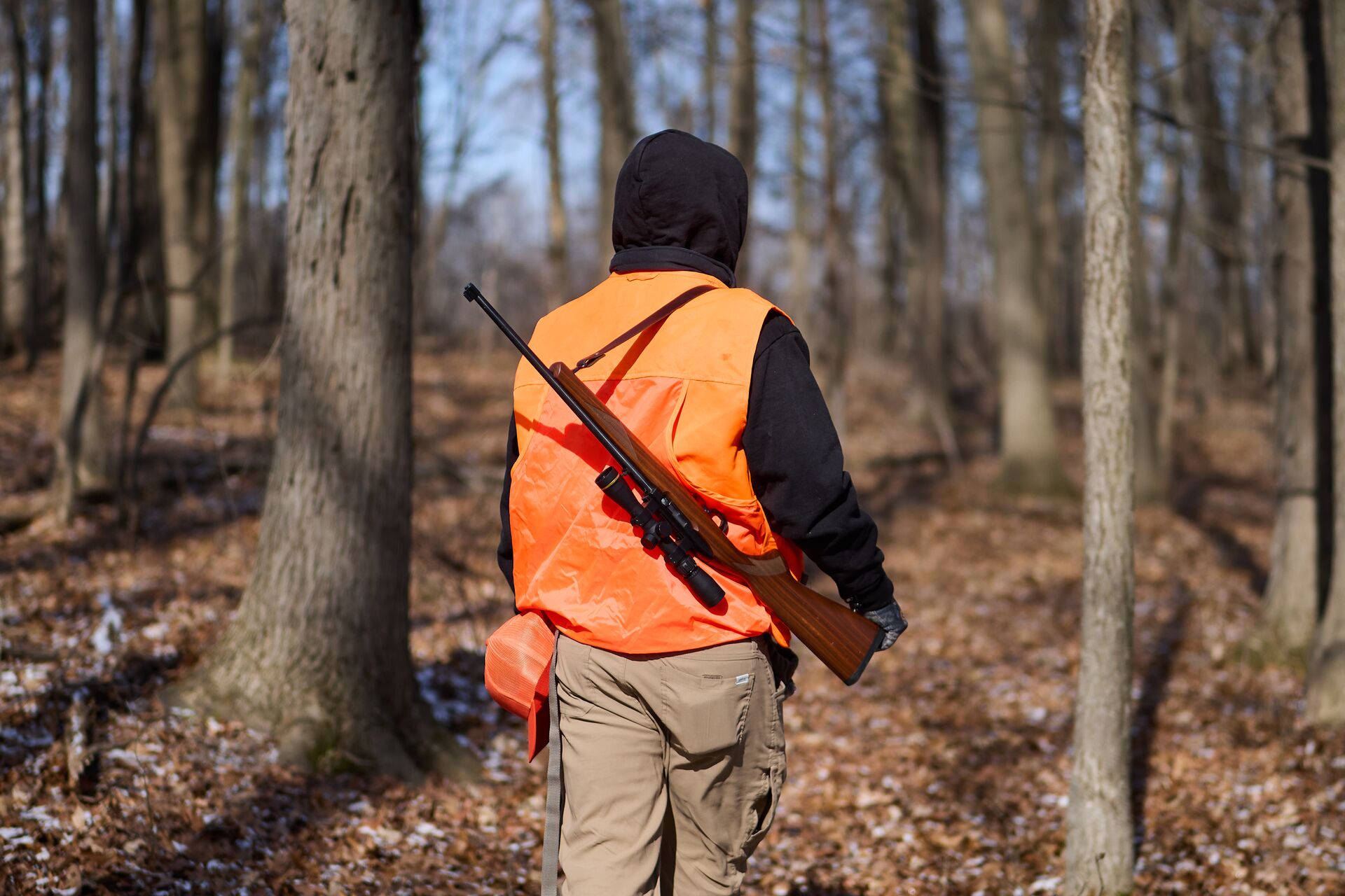 Back view of hunter wearing blaze orange vest with rifle, take online hunter safety course concept.