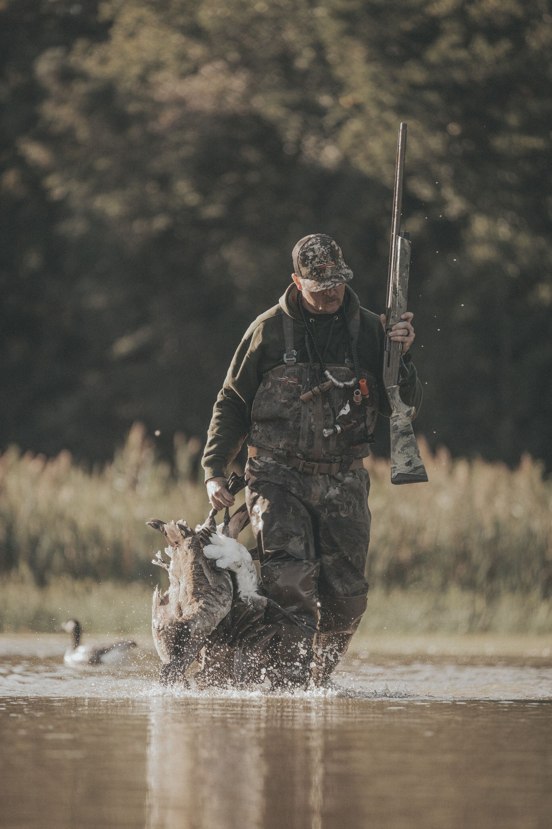 Hunter in waders carries geese in water, Georgia hunter education concept.