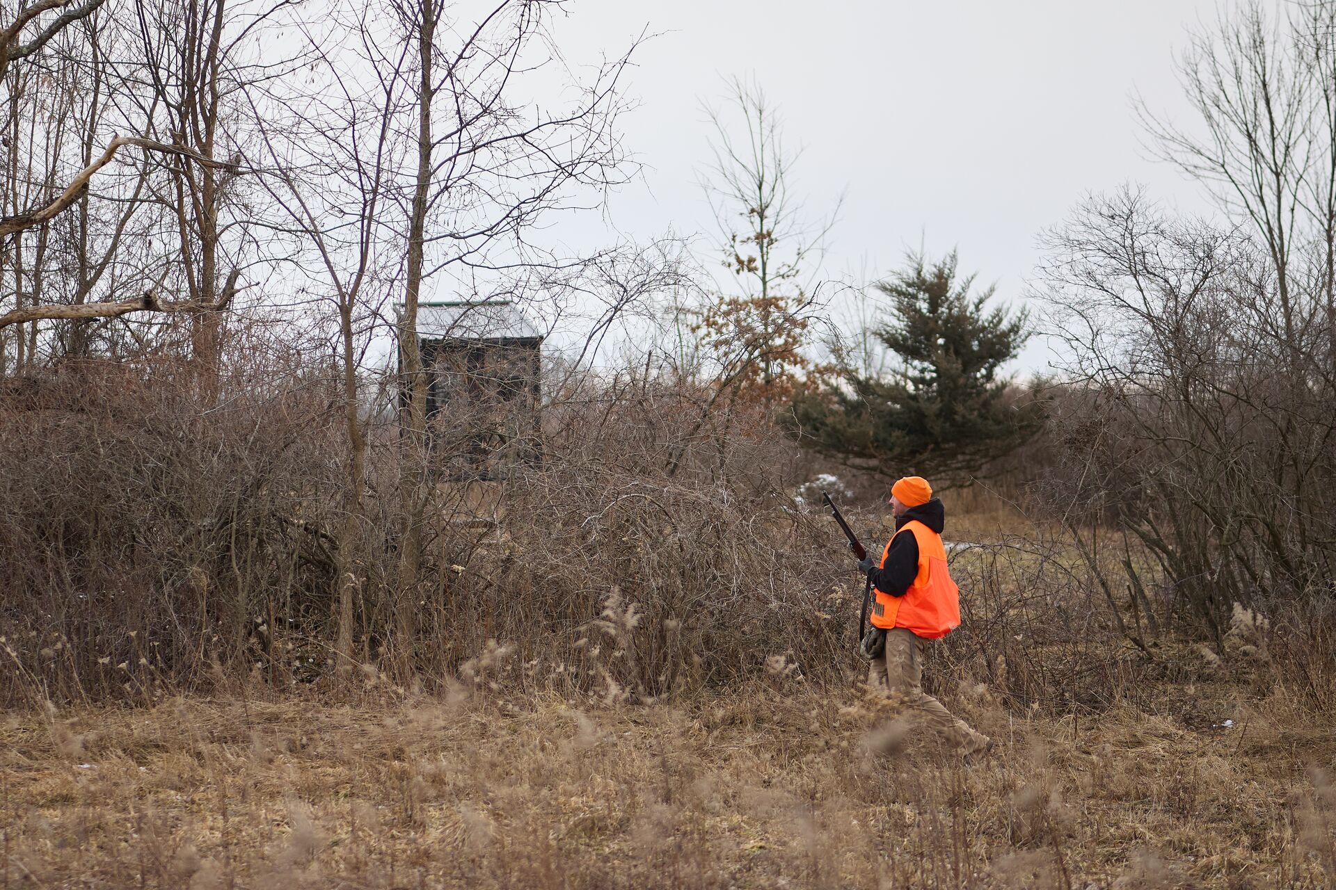 Hunter wears blaze orange and carries rifle, take the Georgia hunter safety course concept.