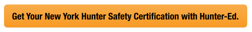 Button with text get your NY hunter safety card, look up New York hunter education card concept.