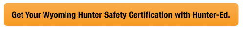 Button with text get your WY hunter safety card, look up Wyoming hunter education card concept.