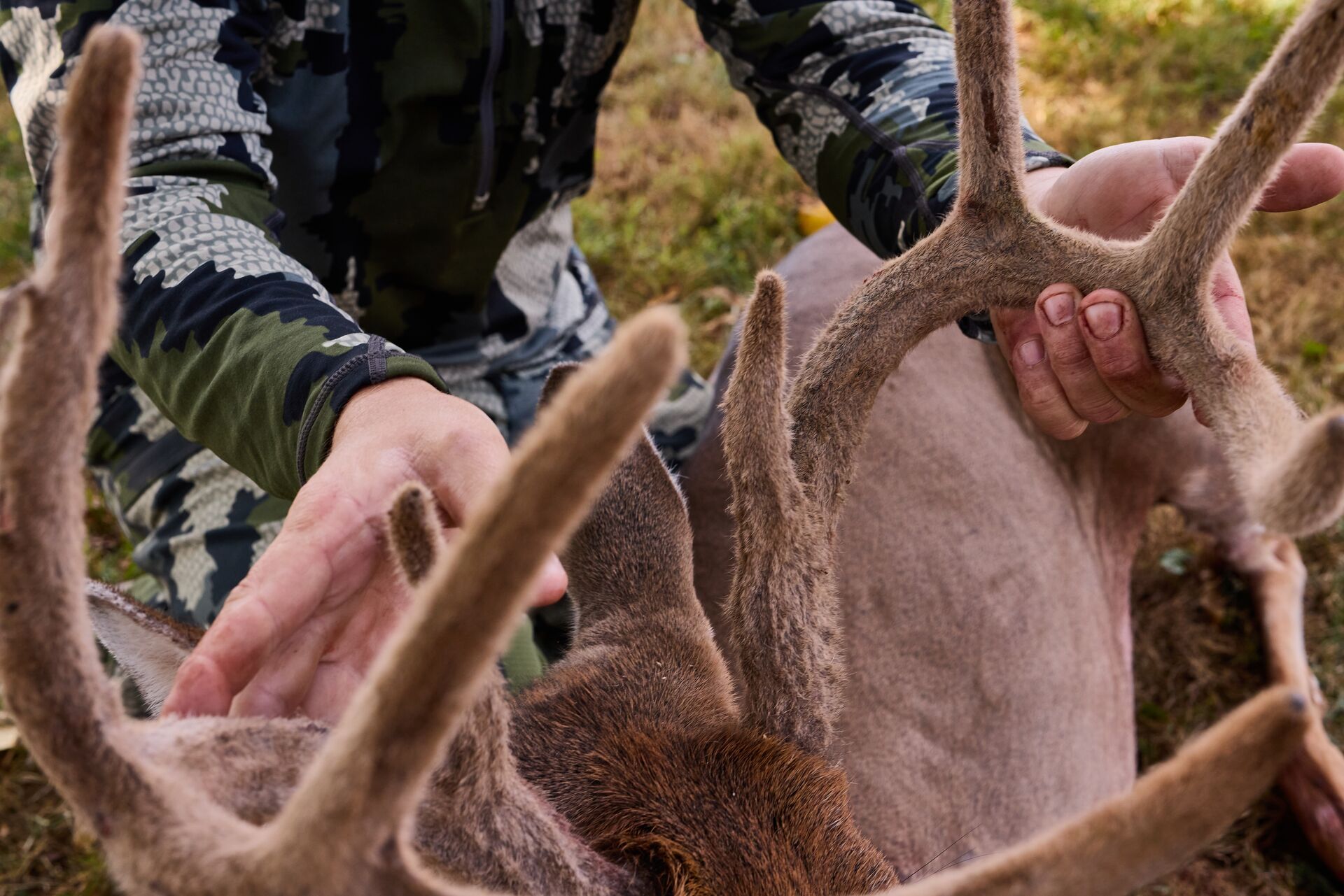 Hunter shows off deer antlers with velvet, take the Tennessee hunter safety course concept. 