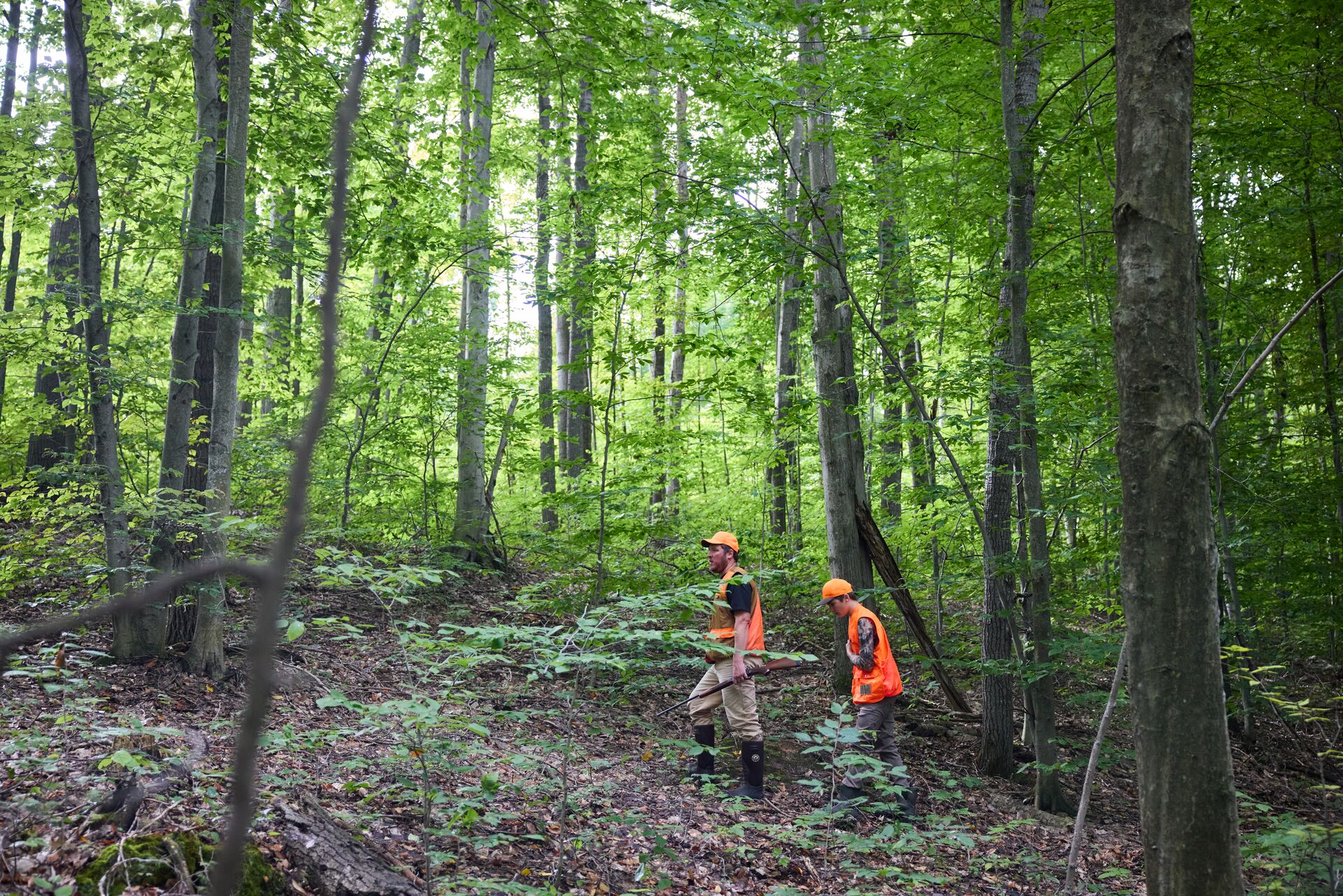Boy and adult in blaze orange in the woods, do kids need a hunting license concept.