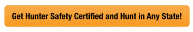 Button CTA with text get hunter safety certified and hunt any state, is my hunting license valid in another state concept.