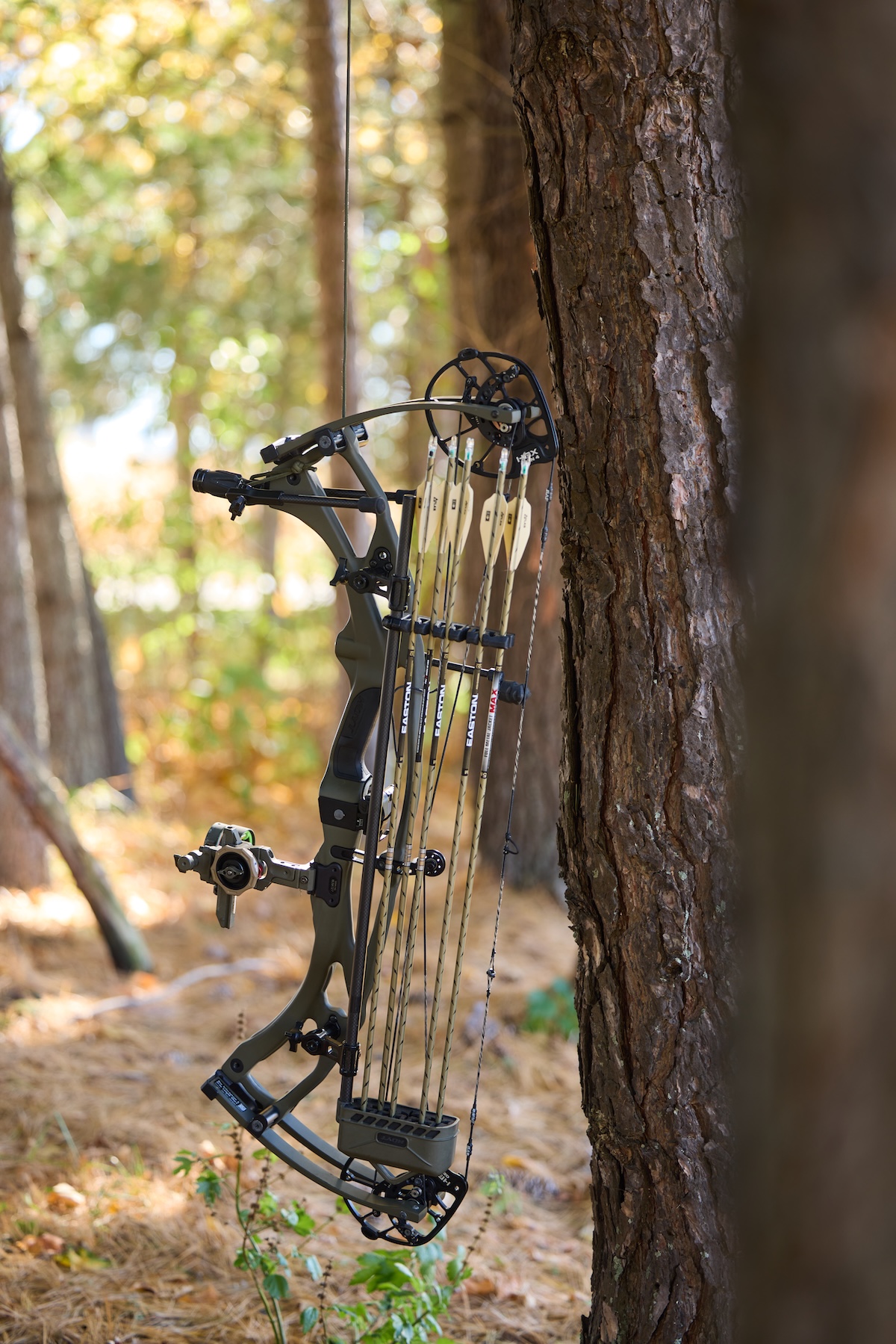 Bow on a haul line for tree stand, hauling hunting equipment into a tree stand concept.