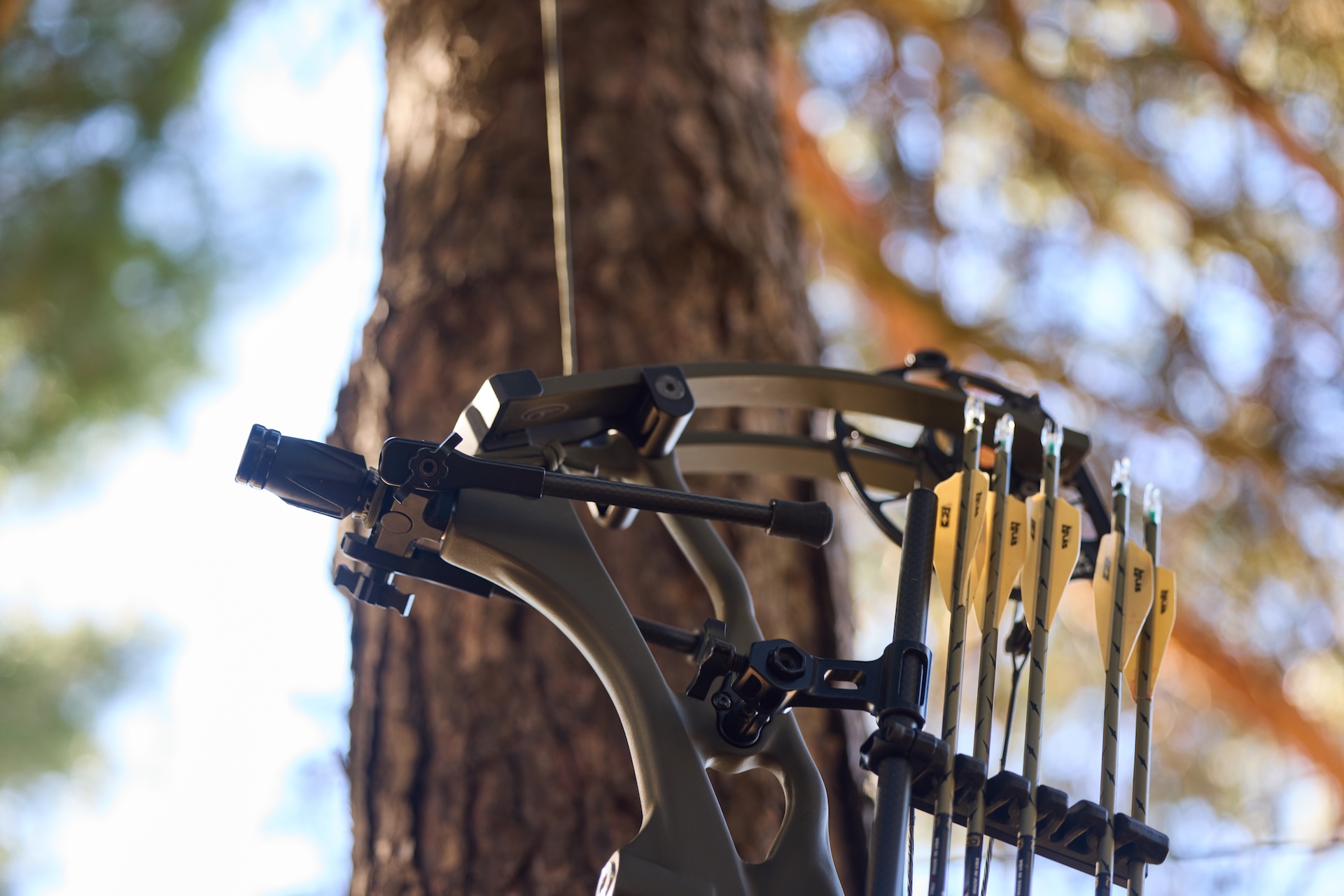Hunting bow on a rope, hauling hunting equipment into a tree stand concept.