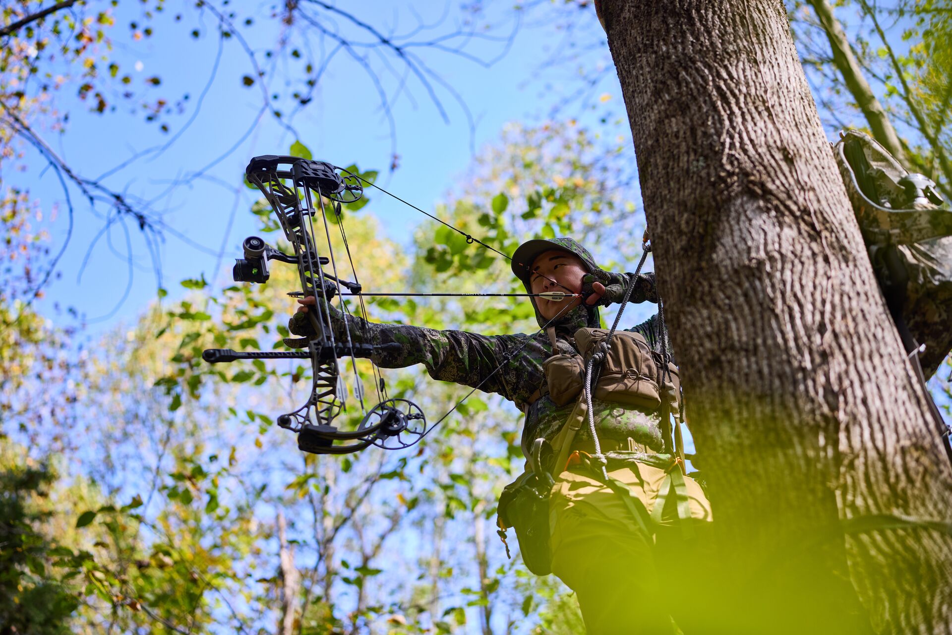 Hunter draws bow in tree with gear nearby, haul hunting gear into tree stand concept.