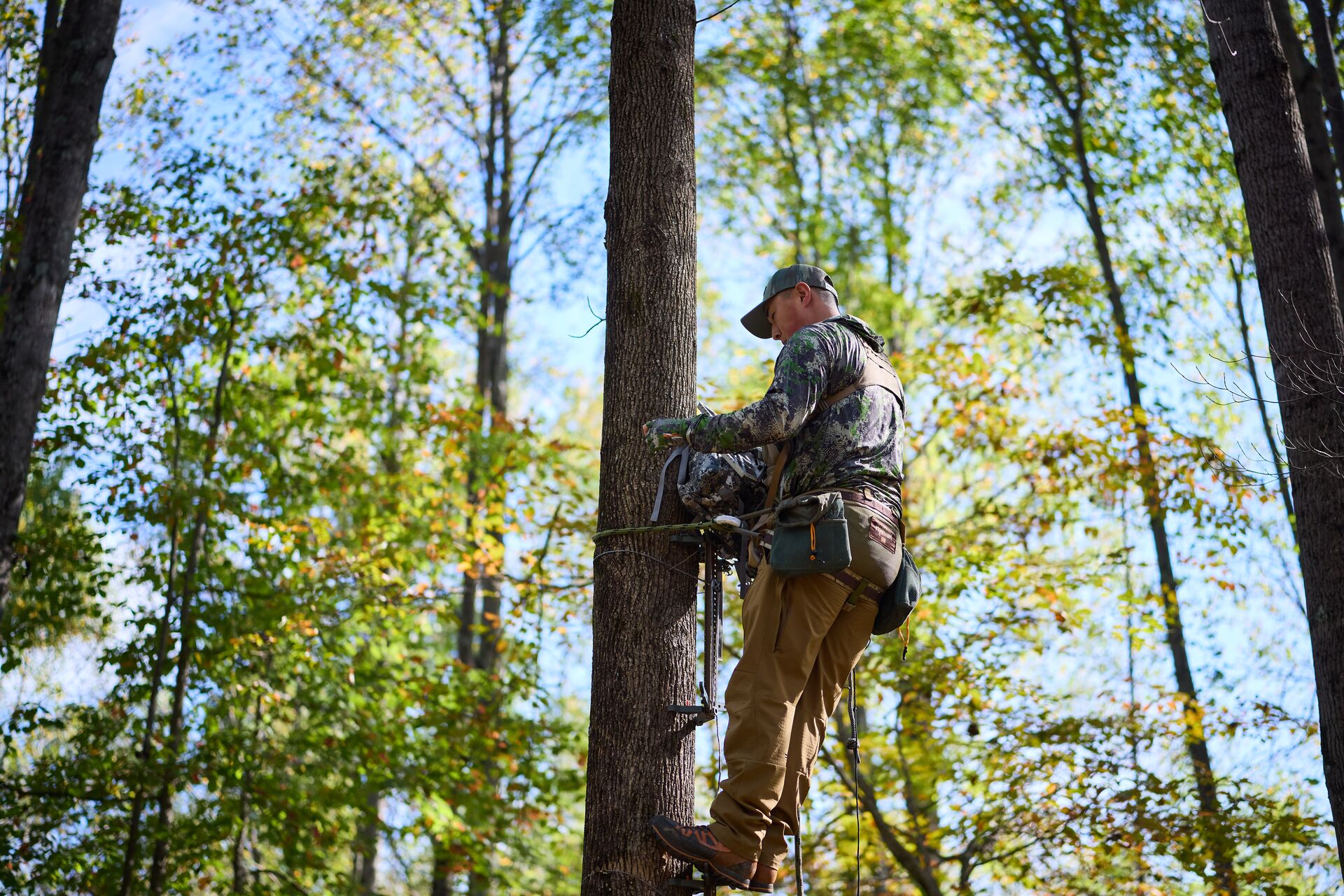 Hunter with fall arrest system in tree, tree stand safety concept.