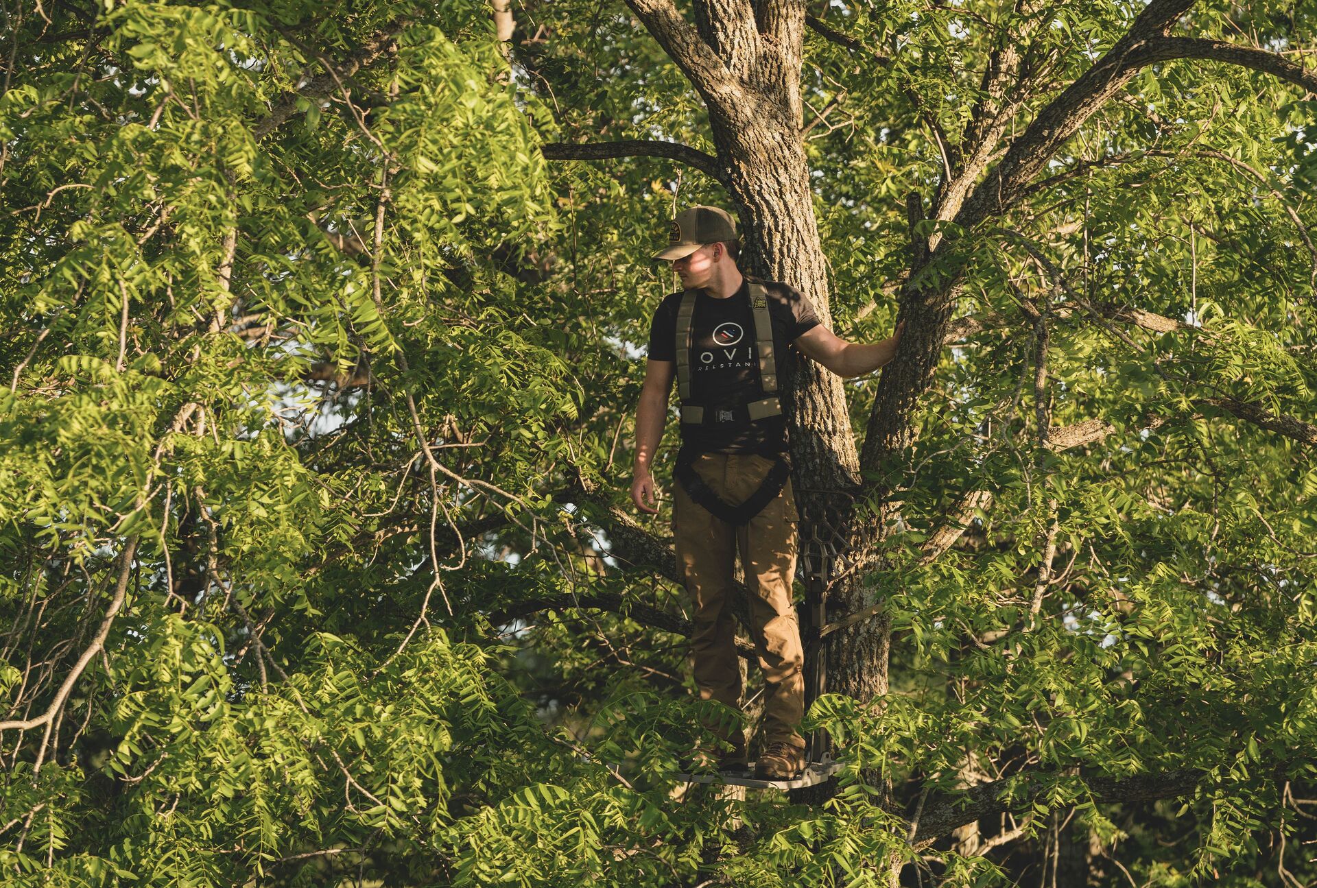 Hunter wears harness in tree stand, tree stand safety concept. 