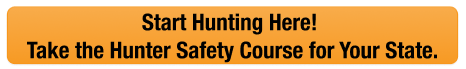 Button CTA with text start hunting with hunter safety, things to know before hunter safety course concept.