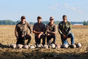 Four hunters with geese laid out after hunt, first time hunter tip concept.