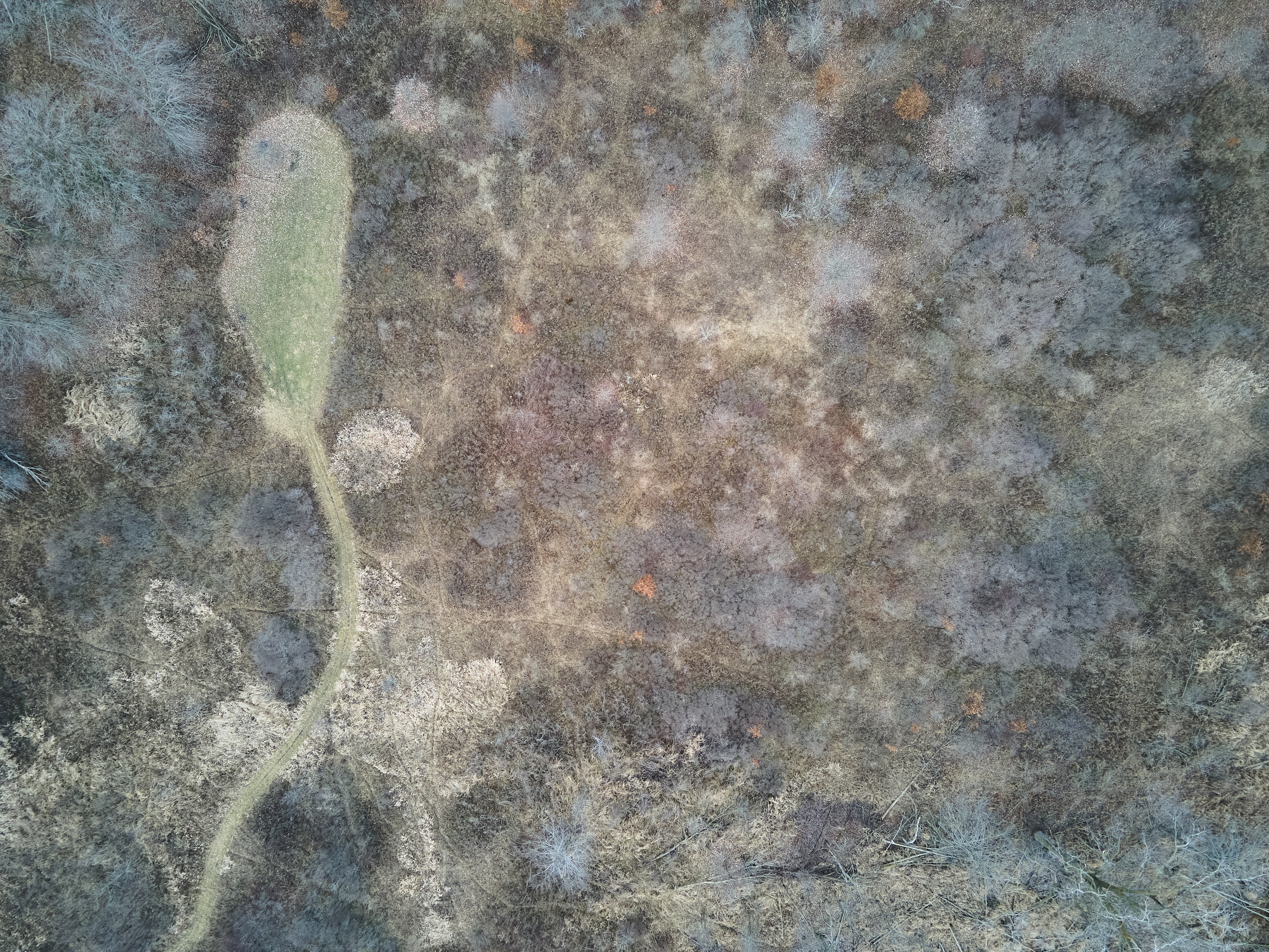 Aerial drone footage of a hunting area, hunting with drones concept. 