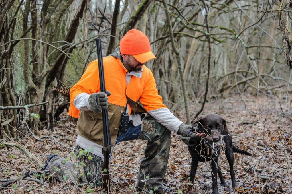 A hunting dog with hunter.