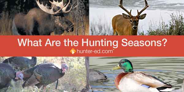 Graphic with text, what are the hunting seasons?