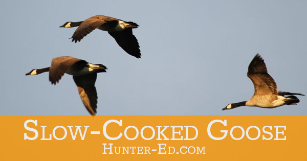 An image of flying geese with text Slow-Cooked Goose, wild game recipes.