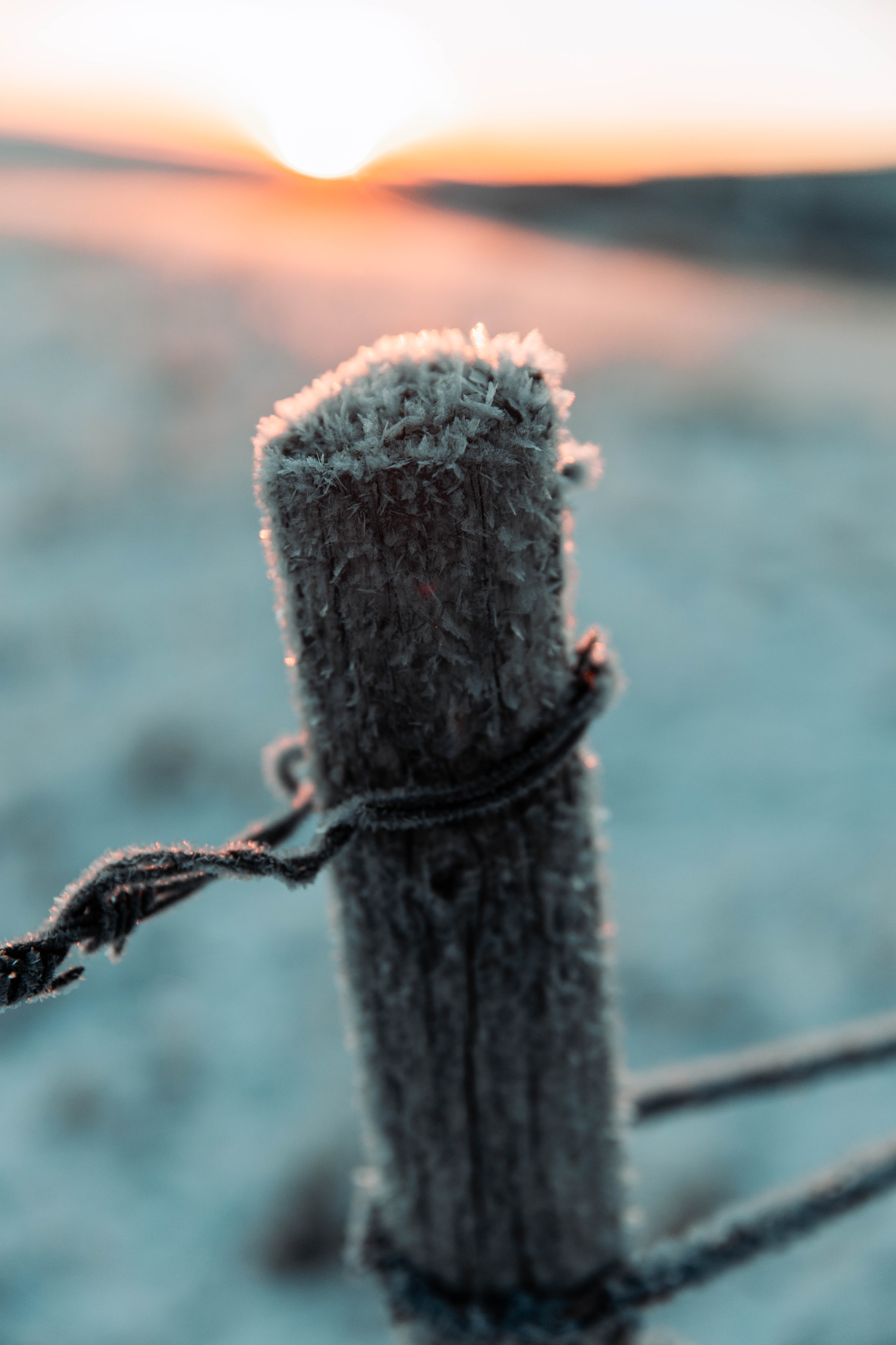Close-up of a fence post with wire, firearm safety concept. 