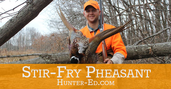 Image of a hunter with a pheasant with text Stir-Fry Pheasant Recipe, wild game recipes concept. 