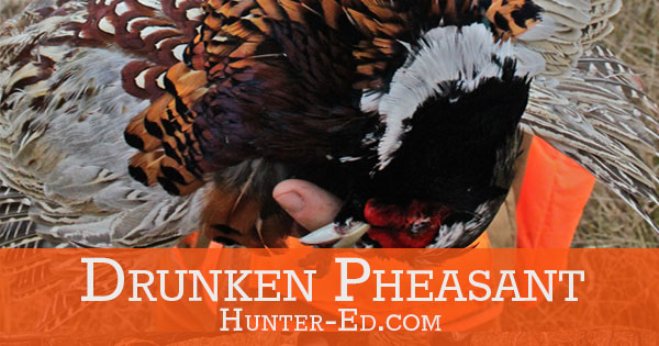 Image of a pheasant with text Drunken Pheasant Recipe, wild game recipes concept. 
