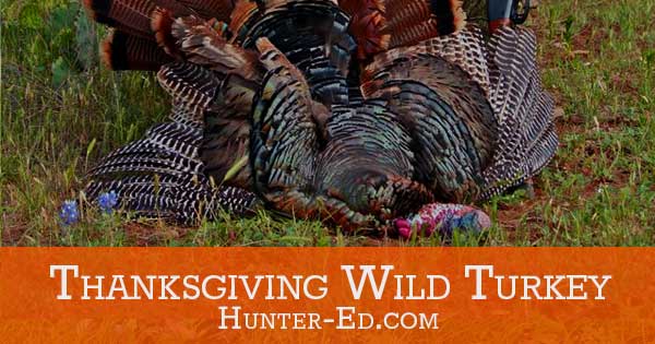 A hunter with a Thanksgiving Wild Turkey wild game recipes concept. 