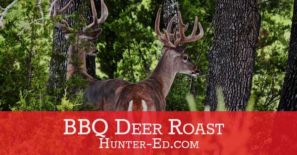 Wild game recipes BBQ Deer Roast