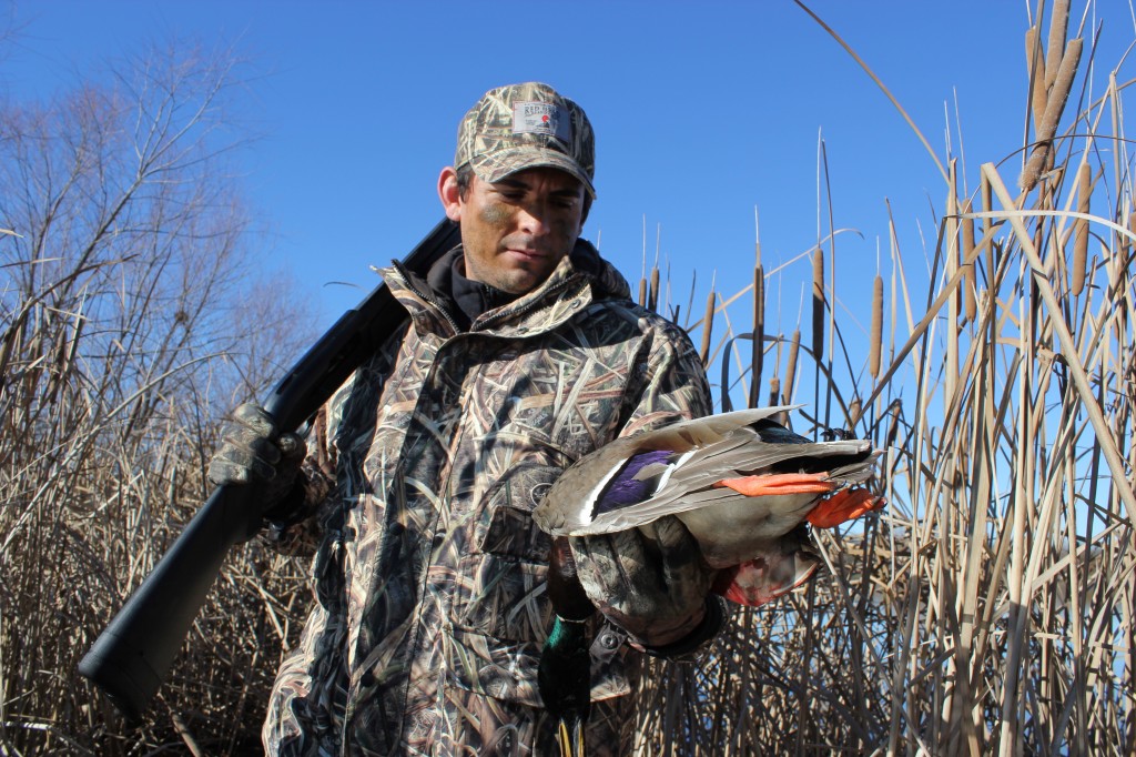 A hunter holds a duck, how to duck hunt concept.