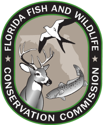 Florida State Logo